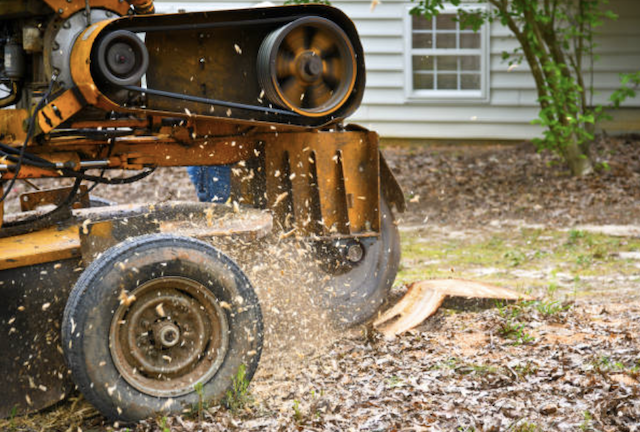 stump grinding sarasota fl